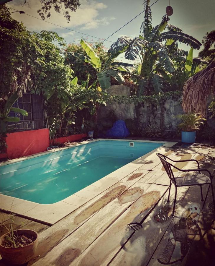 Meanwhile In Veracruz Bagian luar foto