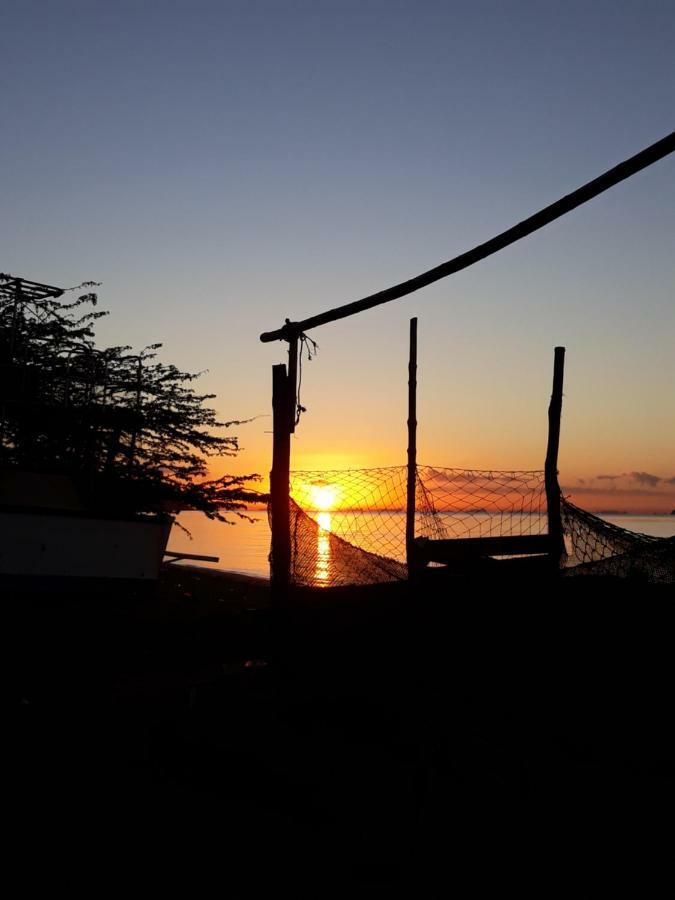 Meanwhile In Veracruz Bagian luar foto