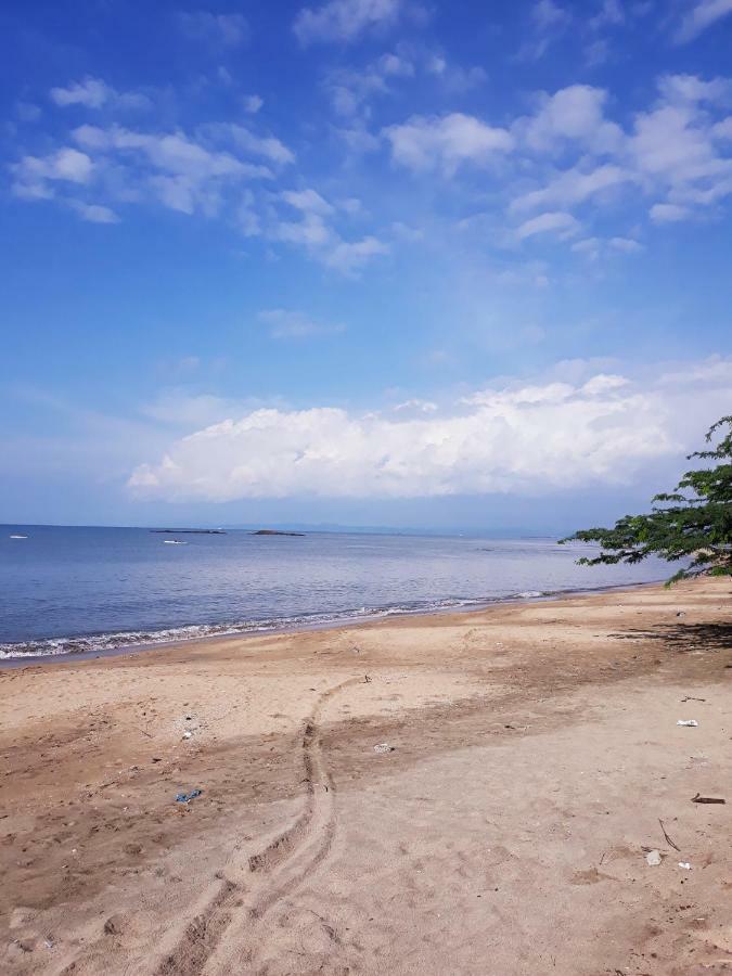 Meanwhile In Veracruz Bagian luar foto